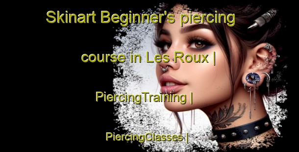 Skinart Beginner's piercing course in Les Roux | PiercingTraining | PiercingClasses | SkinartTraining-France